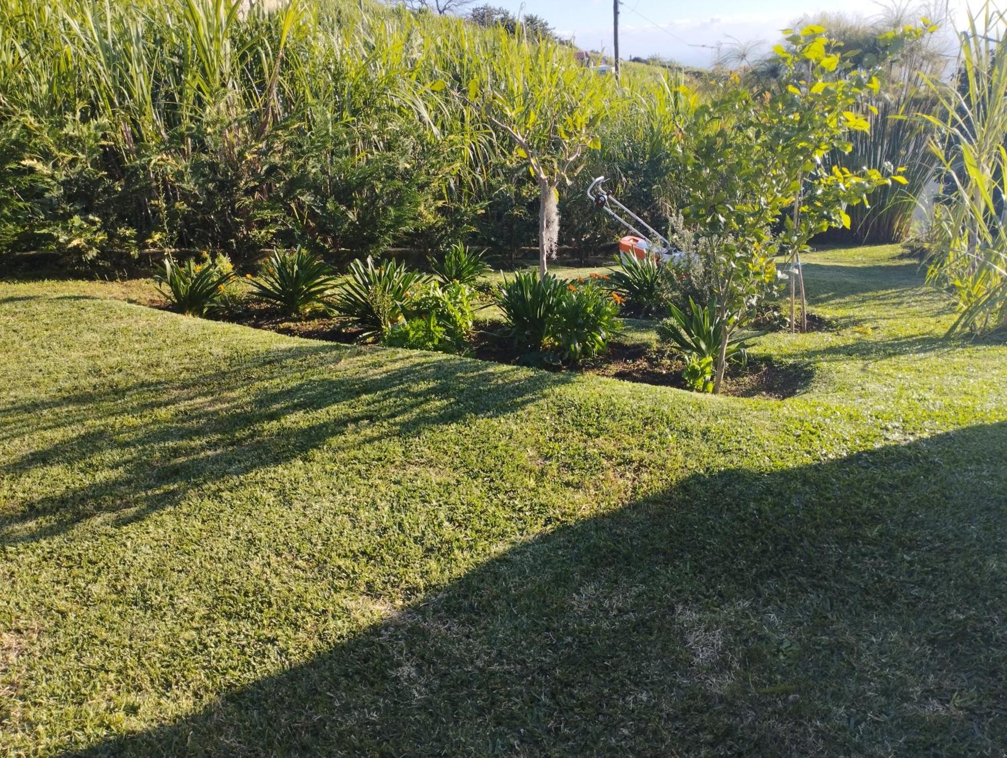 Levada Nova House Villa Понта до Сол Екстериор снимка